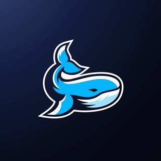 Крипто Кит🐳