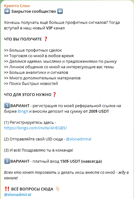 крипто слон крипто слон