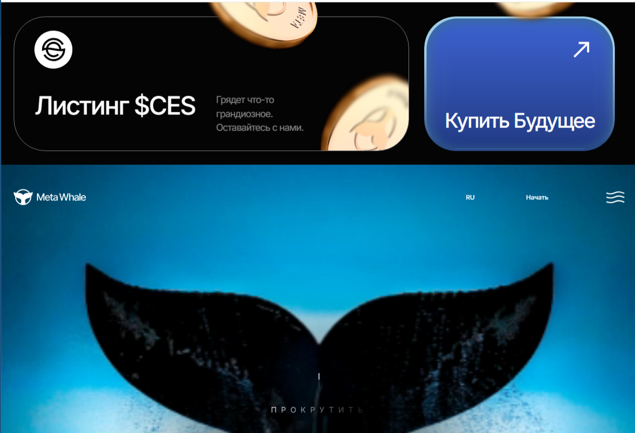 meta force meta force