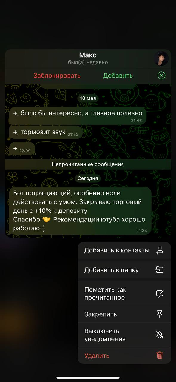 open club amira отзывы open club amira отзывы