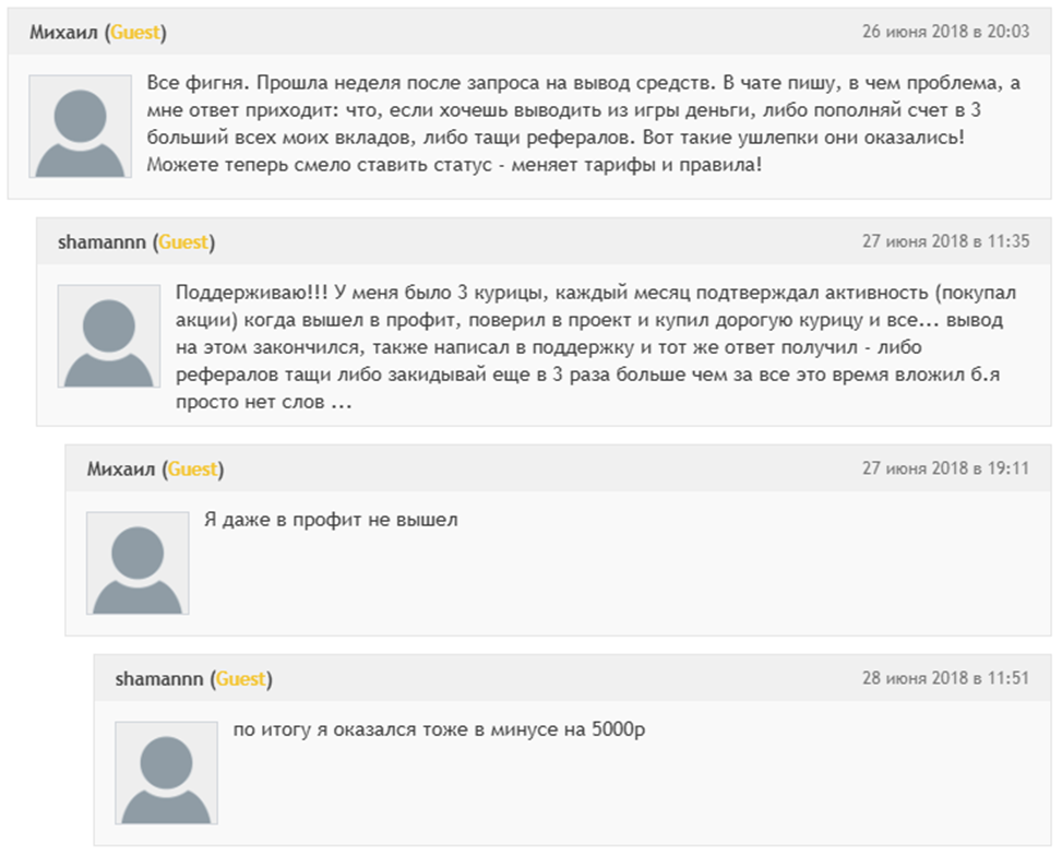 Player Gold Eggs Org Player Gold Eggs Org