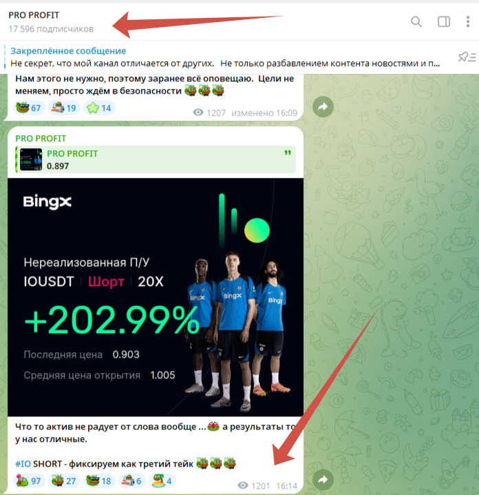 pro profit тг канал pro profit тг канал