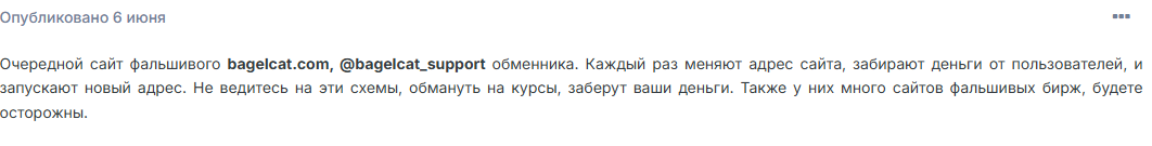 bagelcat обменник bagelcat обменник