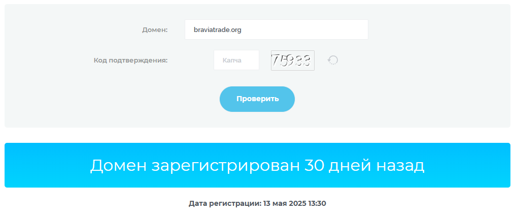 Braviatrade Braviatrade