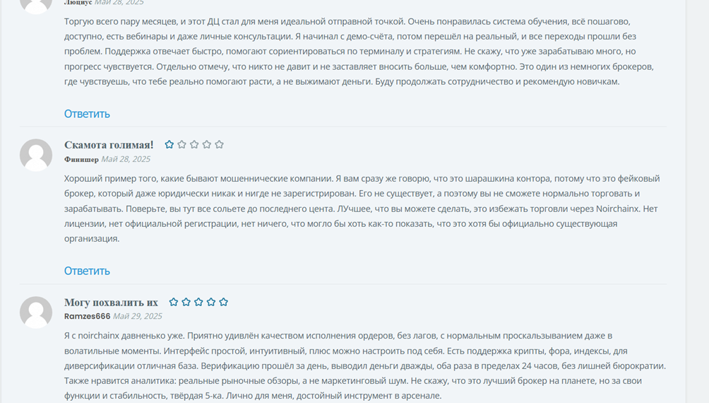 Noirchainx развод Noirchainx развод