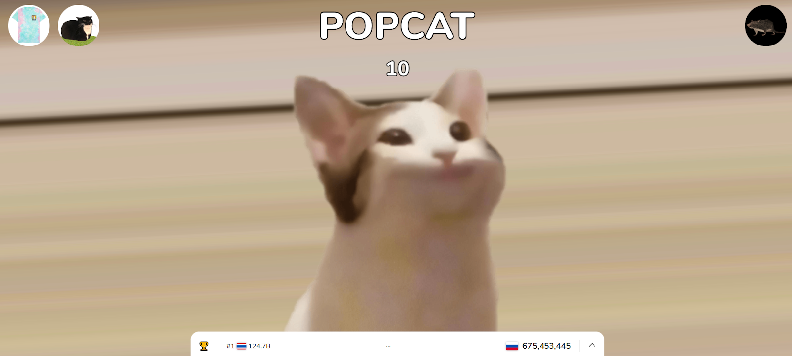 popcat криптовалюта обзор popcat криптовалюта обзор