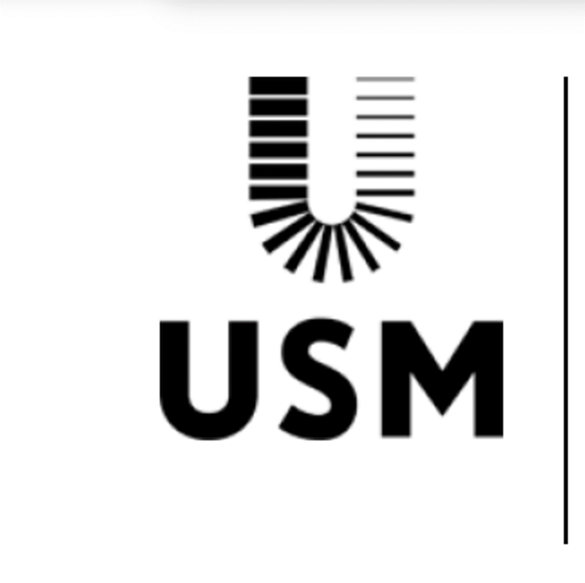 Usm Group