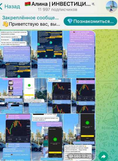 алина вишневская инвестор алина вишневская инвестор