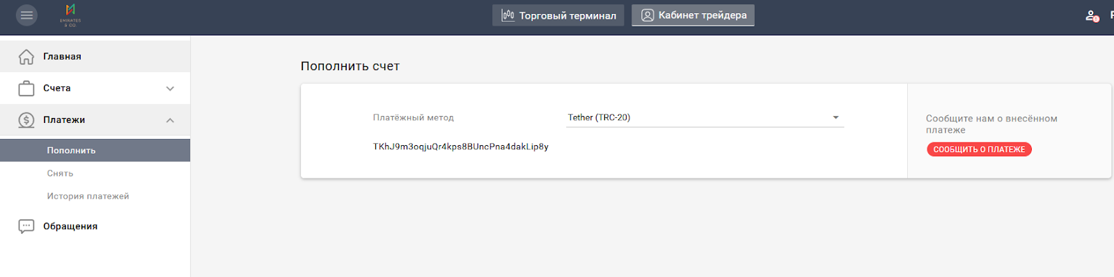 emirates and co брокер emirates and co брокер