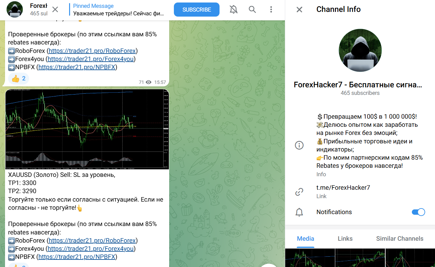 gs spider forex robot gs spider forex robot