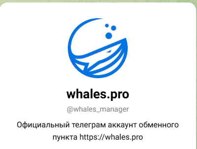 киты обменник киты обменник