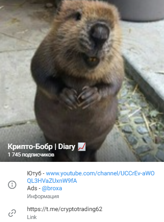 крипто бобр крипто бобр