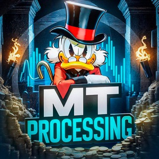 mt Processing