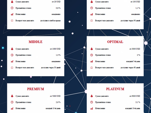 net profit biz net profit biz