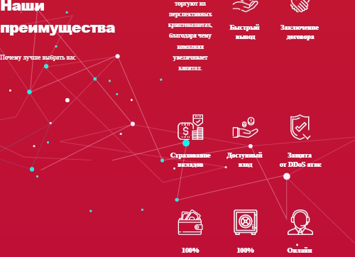 net profit biz net profit biz