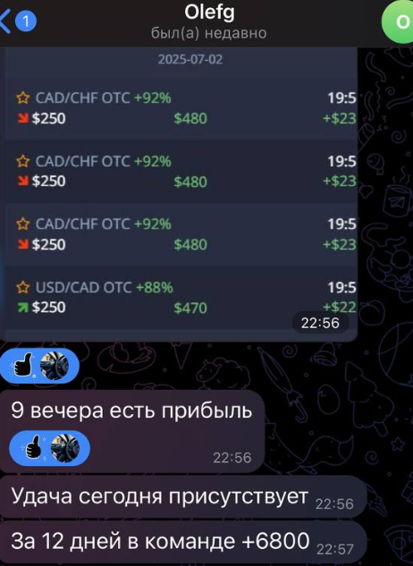 Pro Option Plus Pro Option Plus