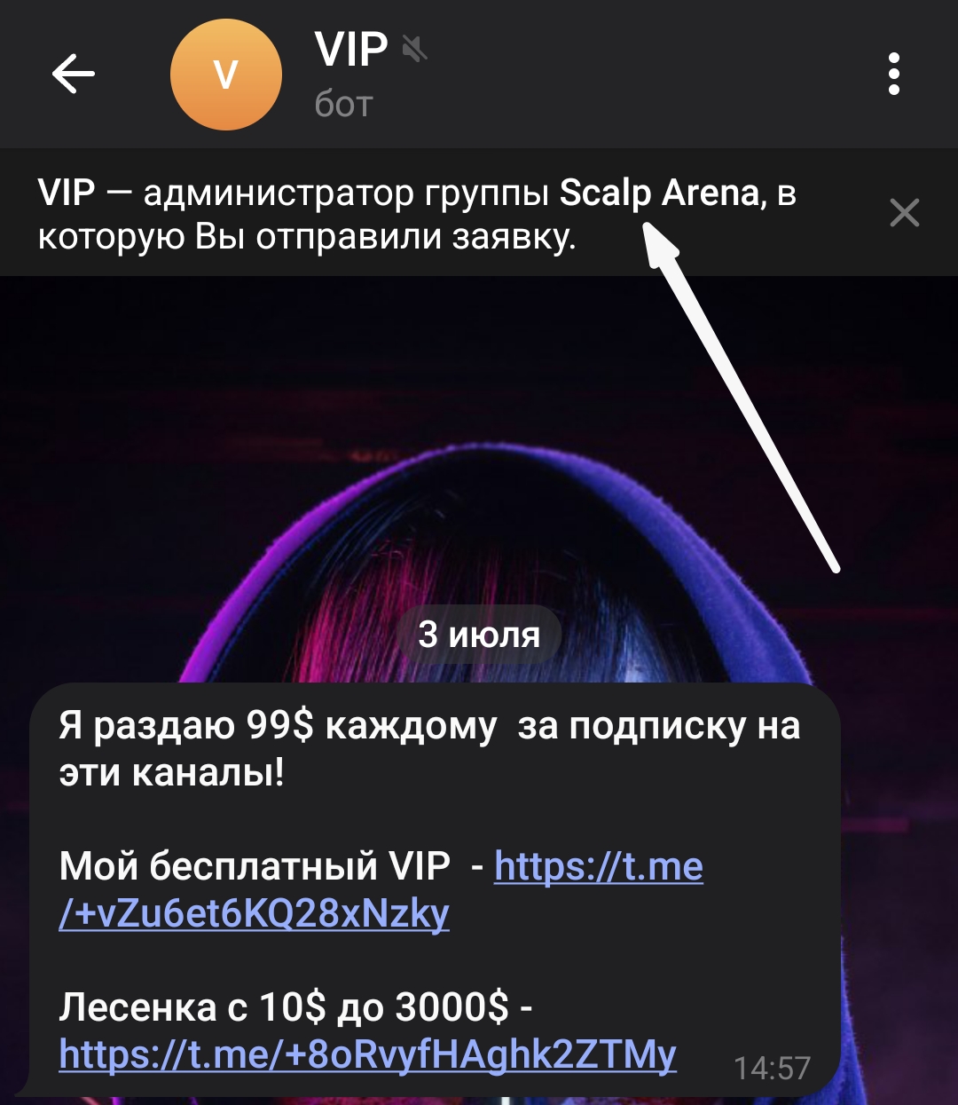 Scalp Arena Scalp Arena