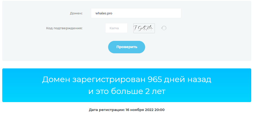 whales pro whales pro