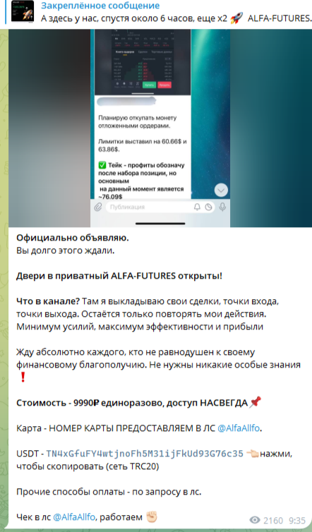 alfaalfo official alfaalfo official