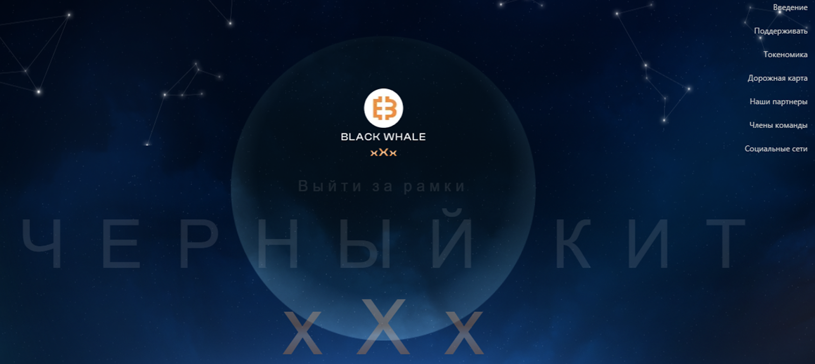 black whale black whale