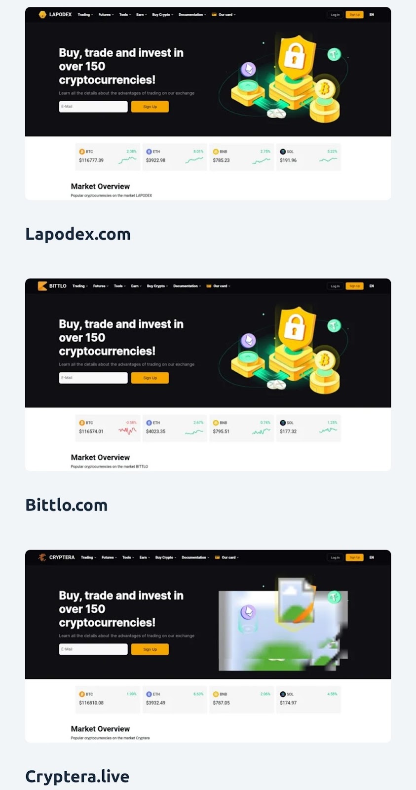 coin wave biz coin wave biz