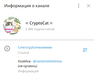 CryptoCat CryptoCat