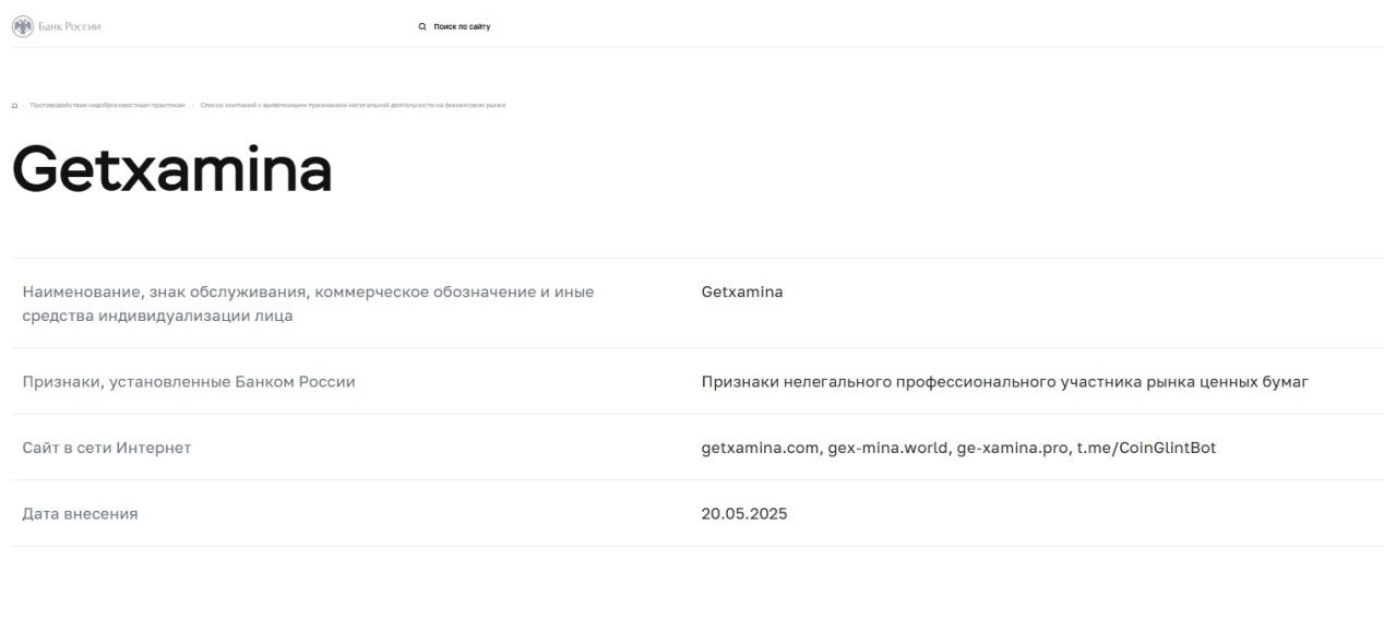 gt xamina biz gt xamina biz