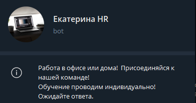 kate5chat bot kate5chat bot