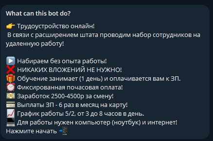 kate5chat bot отзывы kate5chat bot отзывы