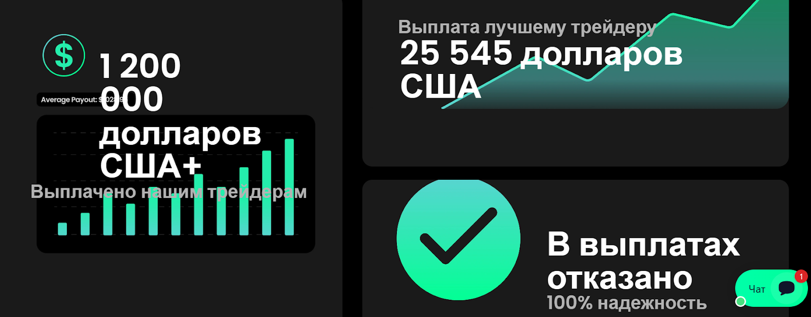 nevarispip com nevarispip com