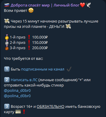 polinadobroo polinadobroo