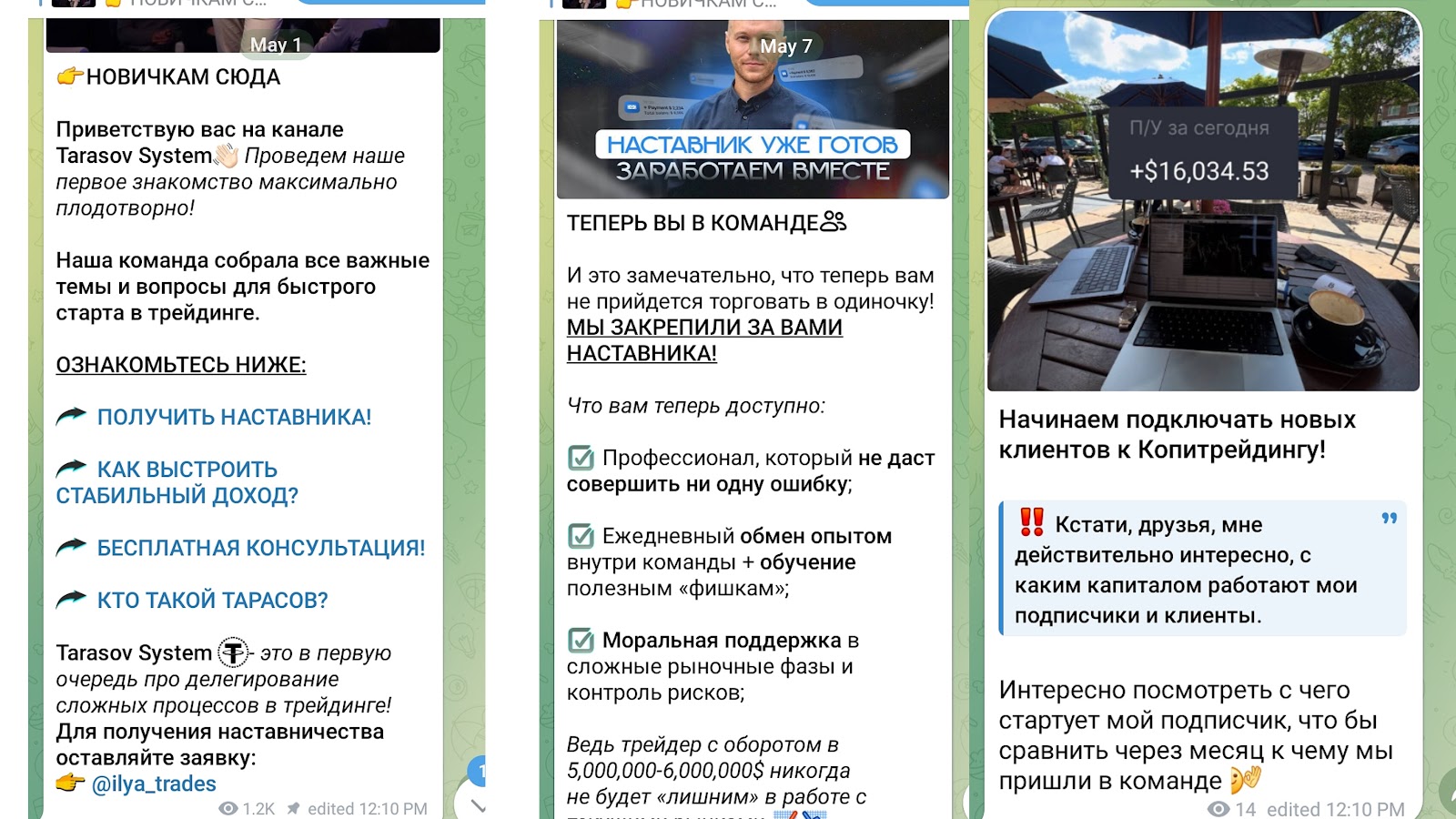 тарасов систем телеграм отзывы тарасов систем телеграм отзывы