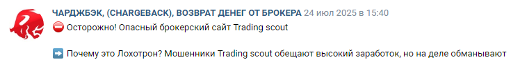 trading scout trading scout