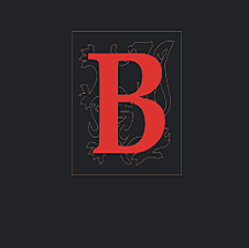 Верещак Владимир Юрьевич