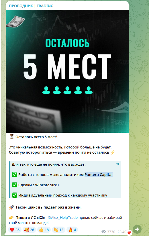 alex helptrade alex helptrade