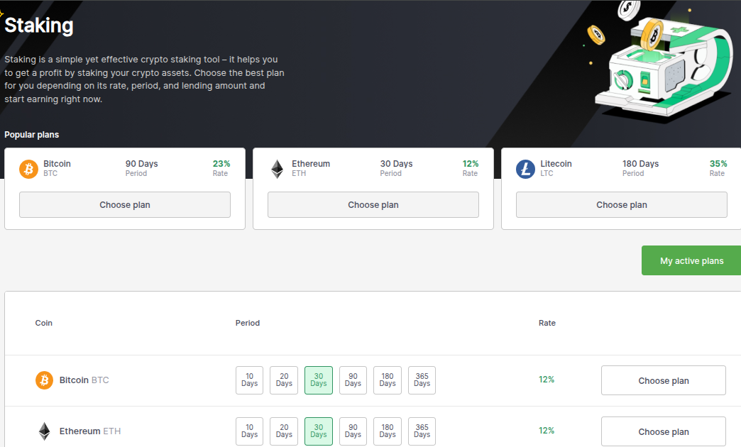 bitvort com bitvort com