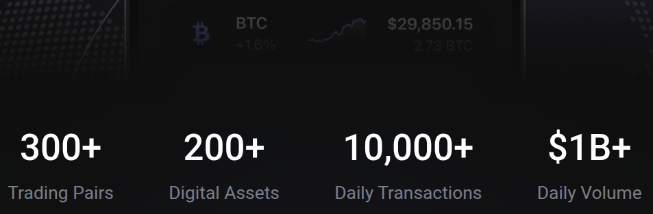 bitvort crypto bitvort crypto