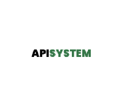 Connect Api System