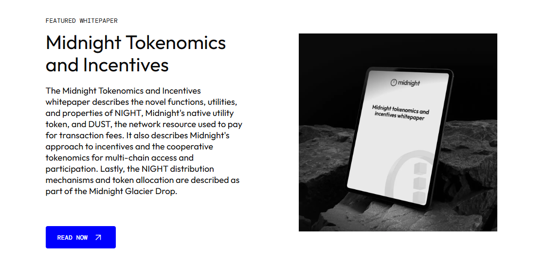 night токен night токен