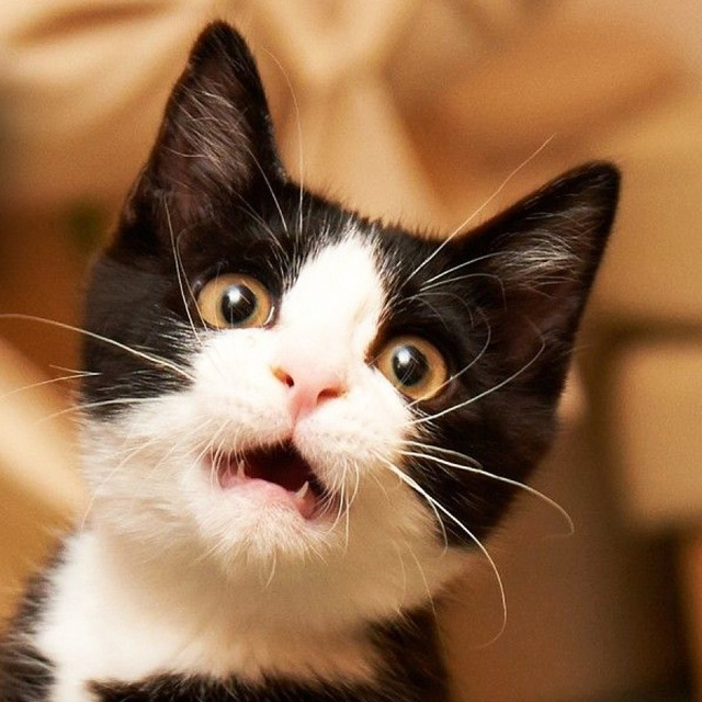 Обмен Отзывами | Взаимные Отзывы