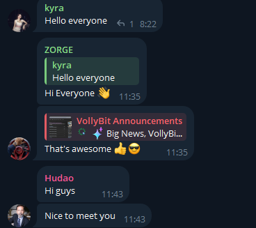 vollybit com vollybit com