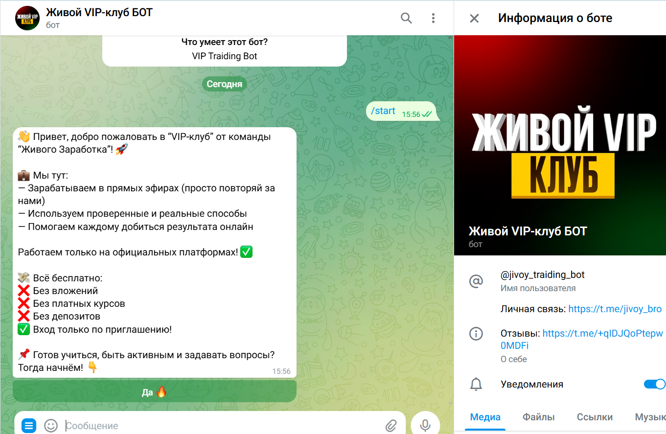 живой вип клуб живой вип клуб