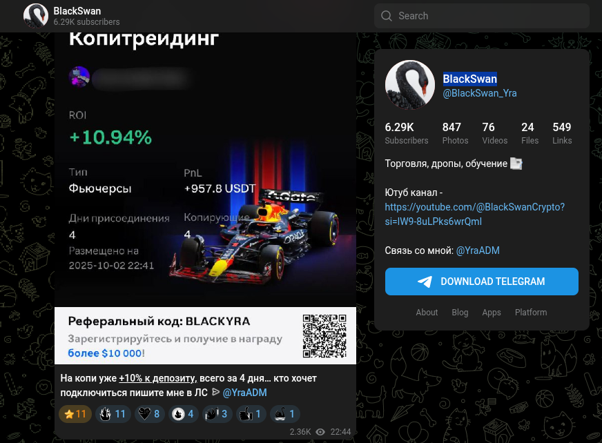 BlackSwanCrypto BlackSwanCrypto