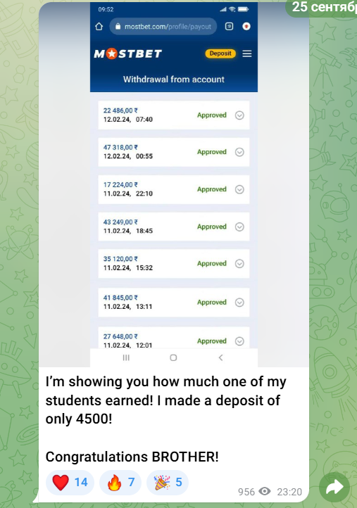 chicken road bot chicken road bot