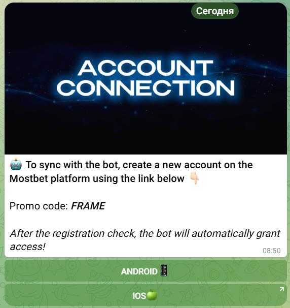 chicken road bot chicken road bot