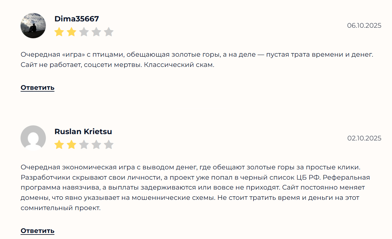 fancybirds fancybirds