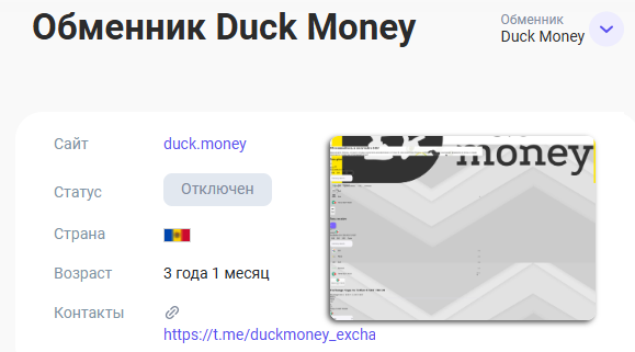 info duck money info duck money