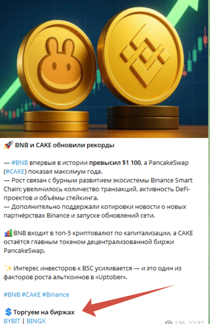 kamarslanika kamarslanika