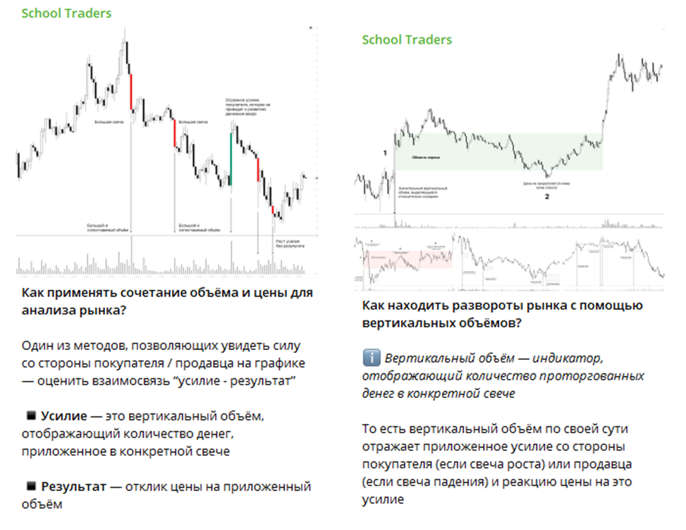 school trader тгк school trader тгк