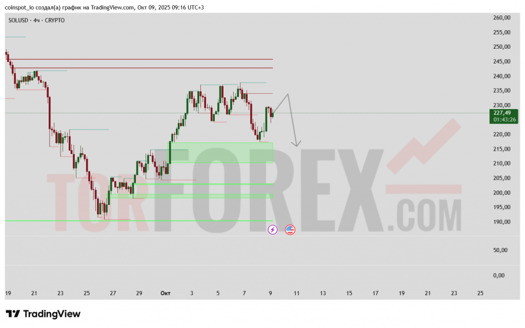 solusd-prognoz-10-10-2025